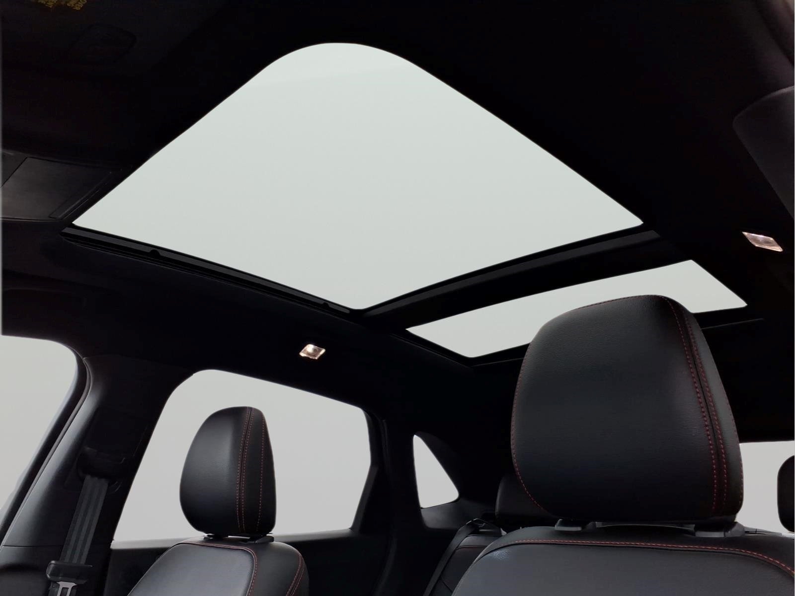 2023 Ford Escape ST-Line Elite
